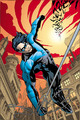 Nightwing - dc-comics photo