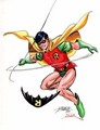 Robin - dc-comics photo