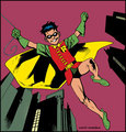 Robin - dc-comics photo