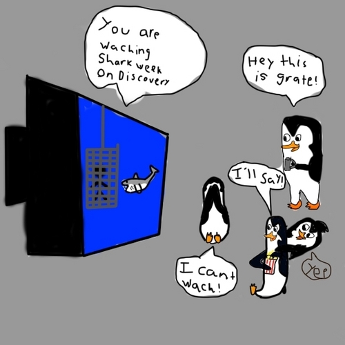  The penguins selabrateing haai week!