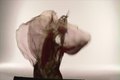 lady-gaga - Vanity Fair Shoots screencap