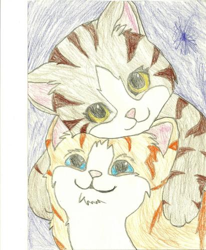  cloudfire and robinpelt