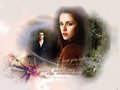 twilight-series - ~Edward & Bella NM~ wallpaper