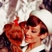 Audrey Hepburn - audrey-hepburn icon