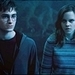 Harry and Hermione - harry-potter icon