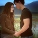 Jacob and Bella - twilight-series icon