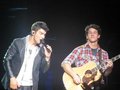 Jonas Brothers Live in Concert 2010 - the-jonas-brothers photo
