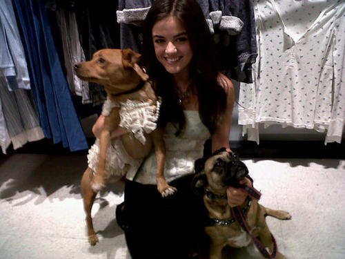  Lucy Hale August 6: 夏洛特 Russe Store Opening & Pet-Adopt-A-Thon