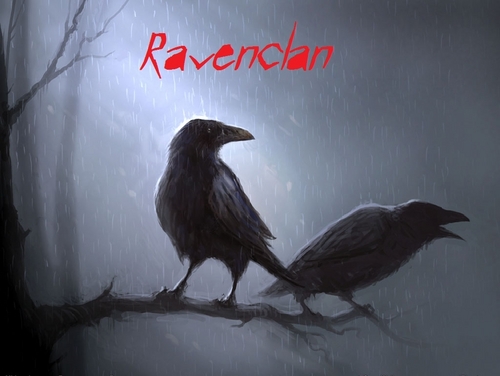  Ravenclan