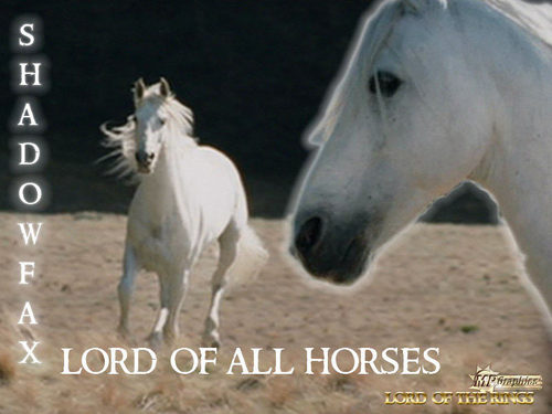  ShadowFax - Lord of the Rings