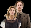 Tonks&Lupin from Deathly hallows - harry-potter photo