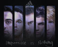imPoSSiBle iS nOThINg - fernando-torres photo
