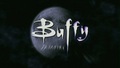 buffy-the-vampire-slayer - 7.05 - Selfless screencap