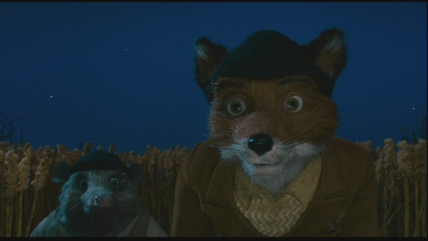 Fantastic Mr. Fox Images on Fanpop.