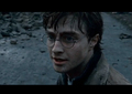 Harry Potter in danger - harry-potter photo