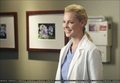 Izzie Stevens - Greys Anatomy - tv-female-characters photo