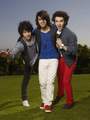 Just for you... - the-jonas-brothers photo
