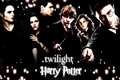 Twilight and Harry Potter - harry-potter-vs-twilight photo