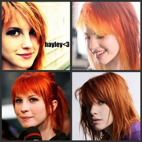  hayley collage