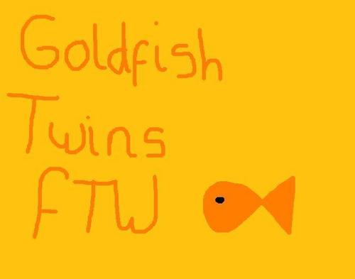  Goldfish Twins FTW