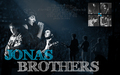 the-jonas-brothers - Jonas Wallpaper wallpaper