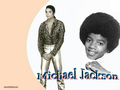 michael-jackson - Kign of pop! wallpaper