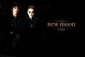 New Moon - the-twilight-saga-new-moon-movie photo