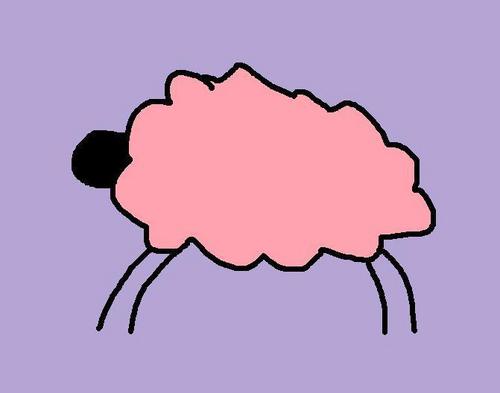  розовый овца, овцы