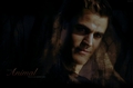 Stefan - the-vampire-diaries-tv-show photo
