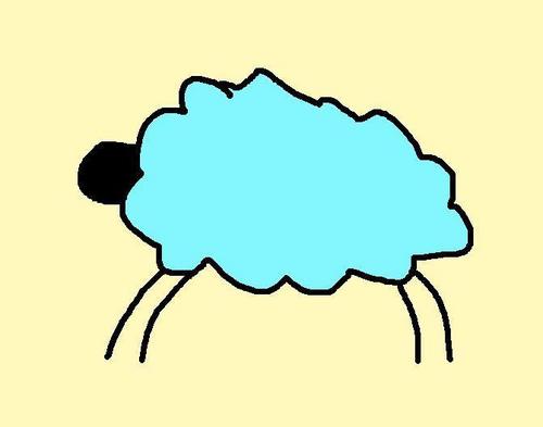  Turquoise овца, овцы