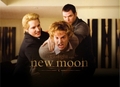 Bella & Jacob New Moon Promo Poster - twilight-series fan art