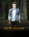 Edward New Moon Promo Poster - twilight-series fan art