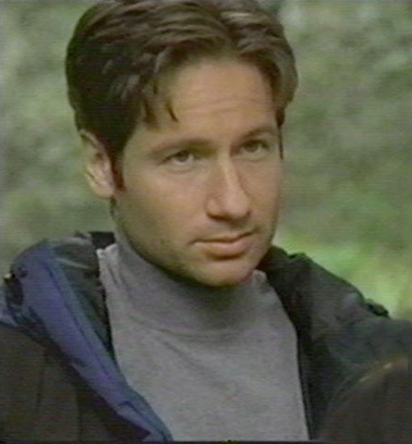  여우 Mulder -- Promo 이미지