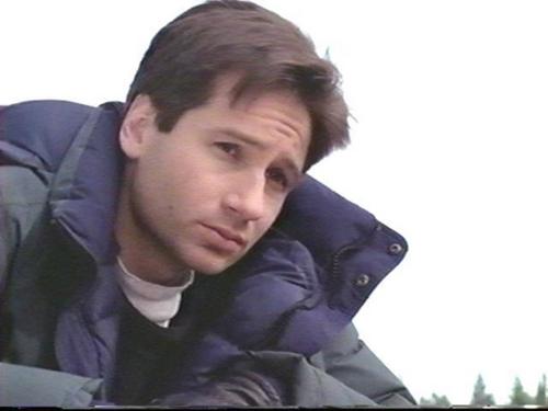  狐狸 Mulder -- Promo 图片