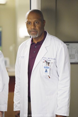  Grey's Anatomy - Episode 6.07 - Give Peace A Chance - Promotional 写真
