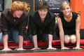 Harry Potter cast  - harry-potter photo