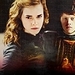 Hermione and Ron -3 - hermione-granger icon