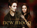 New Moon Edward and Bella - twilight-series photo