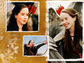Susan Pevensie - the-chronicles-of-narnia fan art