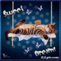 Sweet dreams - keep-smiling fan art