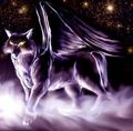 Winged wolf - winged-wolves photo