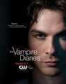 damon promo poster - the-vampire-diaries-tv-show photo