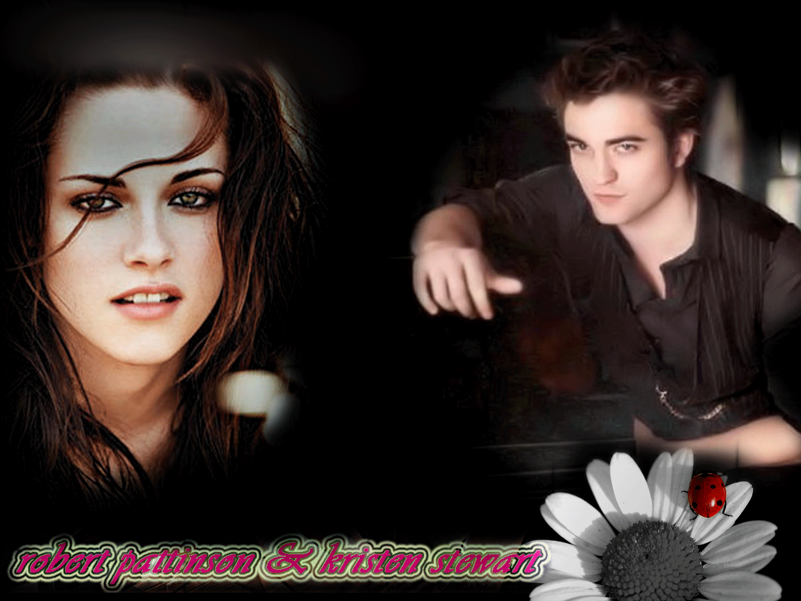 robert and kristen - Twilight Series Wallpaper (8652507 ...
 Kristen Stewart And Robert Pattinson Twilight Wallpaper