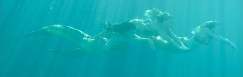 swimming mermaids