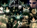 evanescence - ~EVANESCENCE~ wallpaper