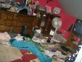 2 brats wrecked my room - total-drama-island photo