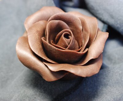  A চকোলেট Rose for Sylvie