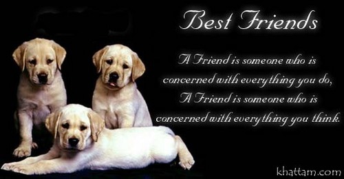  Best دوستوں