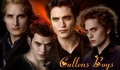 Cullen boys - twilight-series photo
