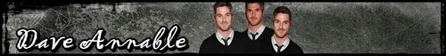  Dave Annable Banners